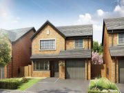 the lawton, falcon rise