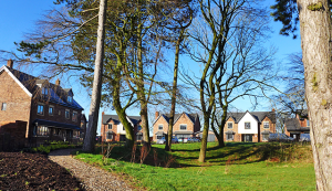 the hawthorns streetscene