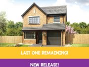 Lawton last one remaining!