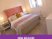 Bowland new release!