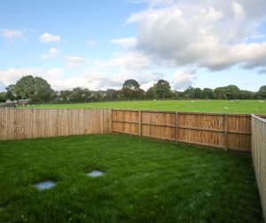 The Budworth garden, plot 25