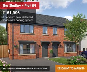 Shelley plot 64