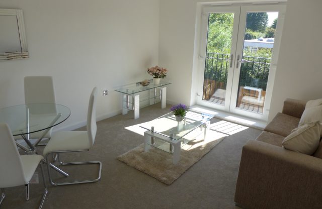 Ashley, 1 bedroom apartment