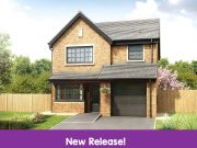 The lawton new release!