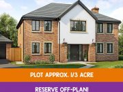ackworth-plot-10