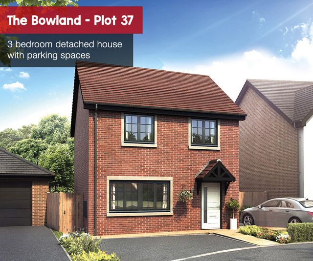 bowland plot 37