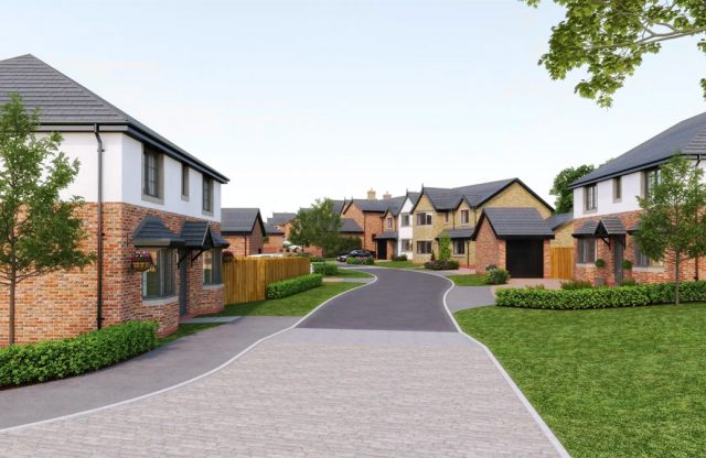 lavender fields street scene