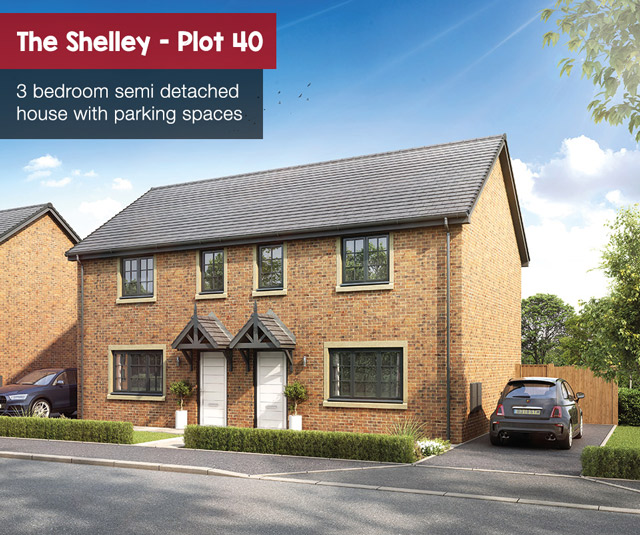 shelley plot 40