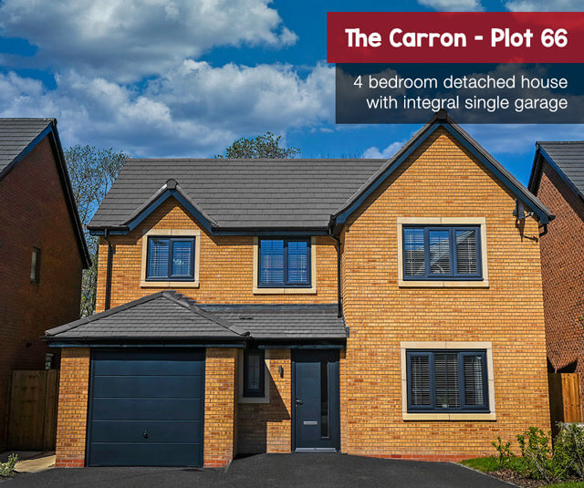 the carron plot 66