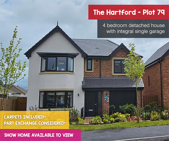 roman-heights-hartford-plot-79