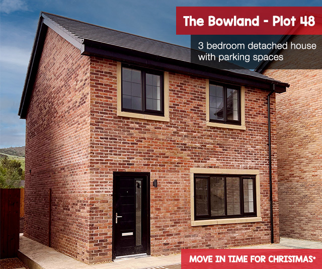 Bowland plot 48