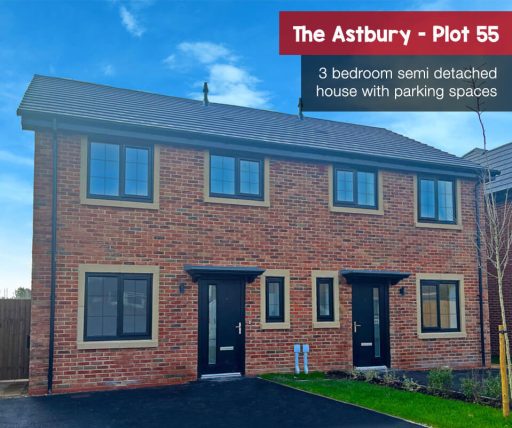 Astbury plot 55