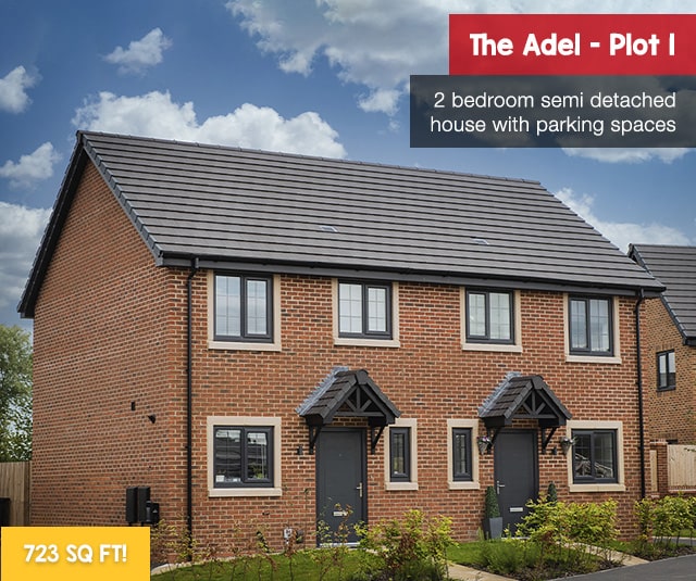 Adel Plot 1