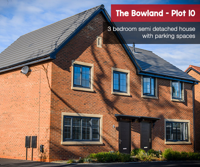 Bowland plot 10