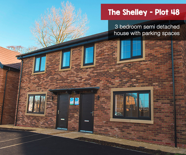 Shelley plot 48
