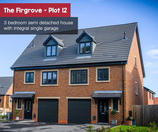 The Firgrove plot 12