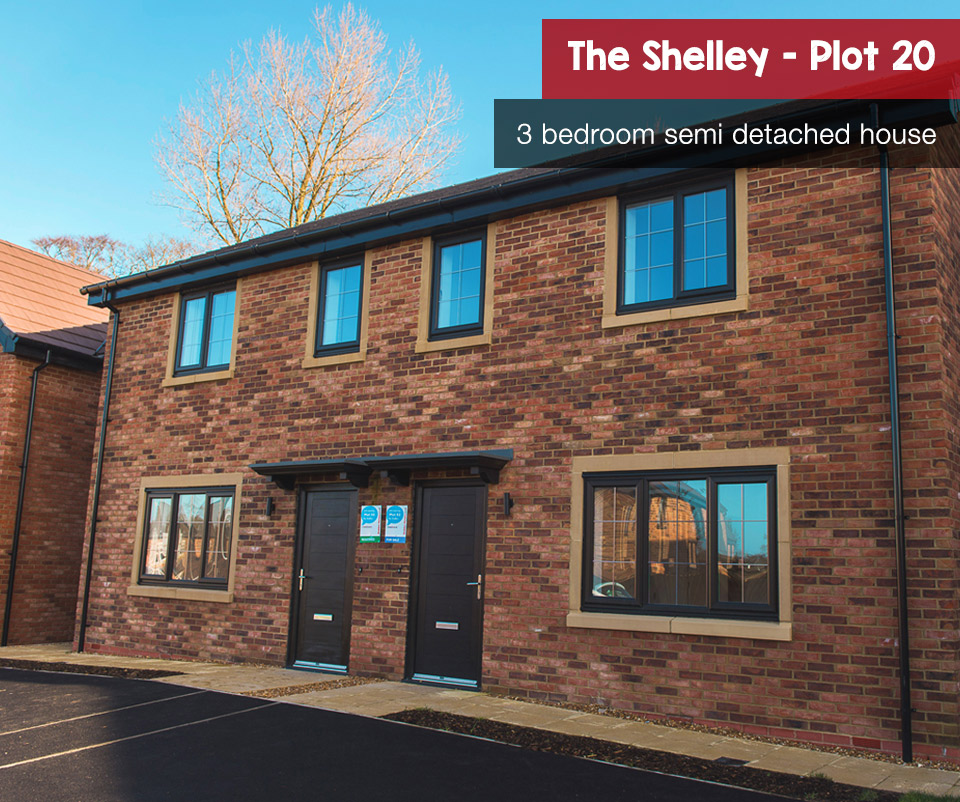 Shelley plot 20
