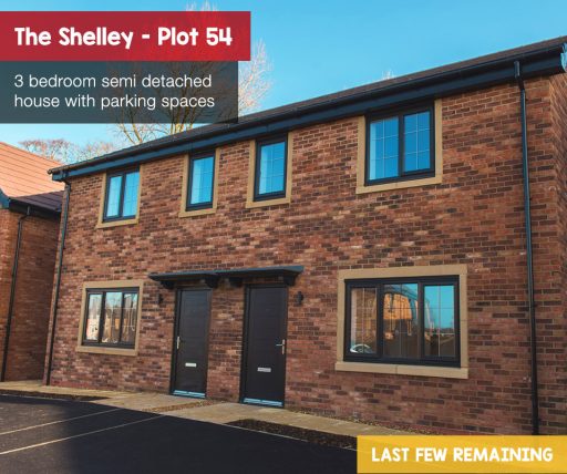 Shelley plot 54