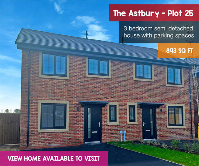 Belle-Wood-View-Astbury-plot-25