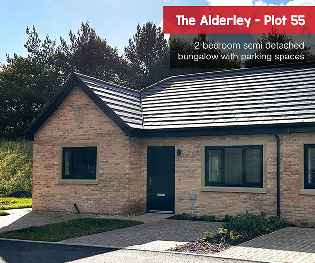 lavender-fields-alderley-plot-55