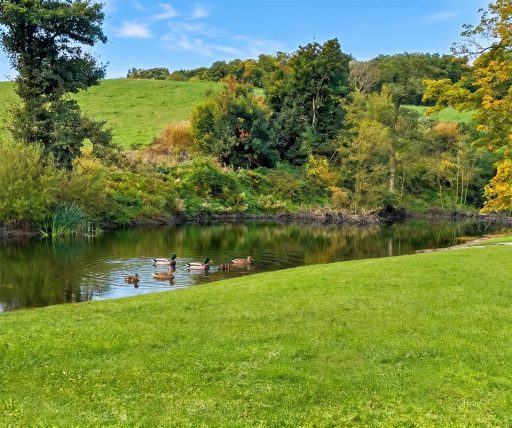 pond at the oaks development
