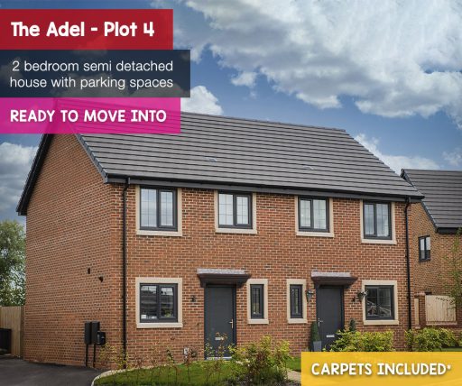 adel plot 4