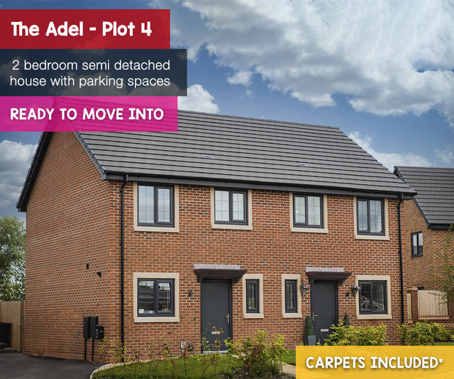 adel plot 4