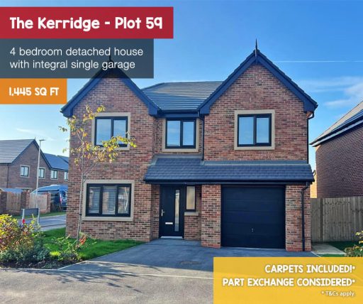 roman-heights-kerridge-plot-59