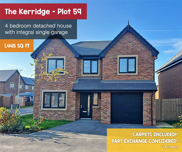 roman-heights-kerridge-plot-59