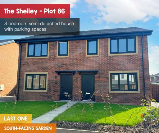shelley plot 86