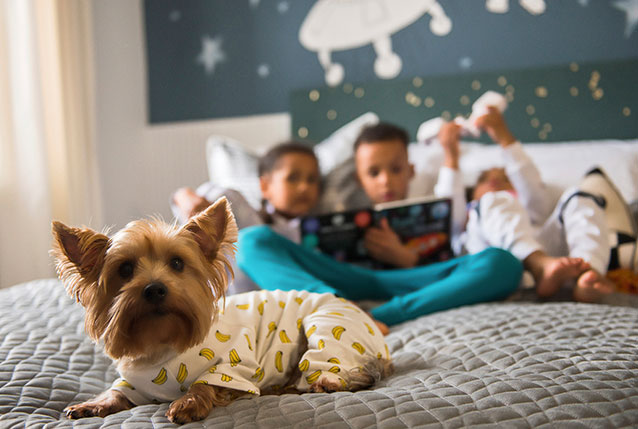 dog on bed with children reading a book