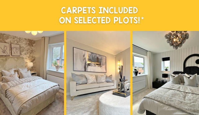 carpets included on selected plots