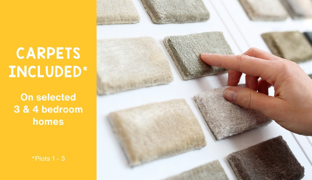 carpets included on selected plots