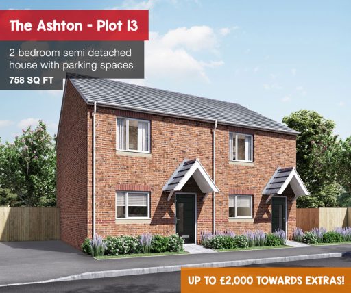 Ashton plot 13