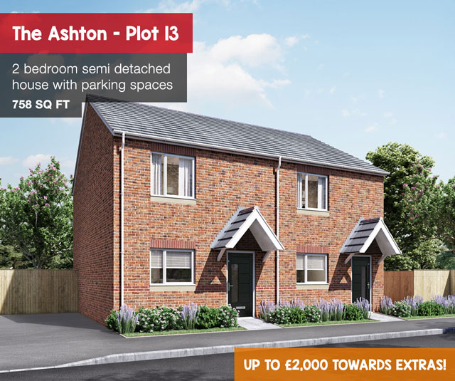 Ashton plot 13