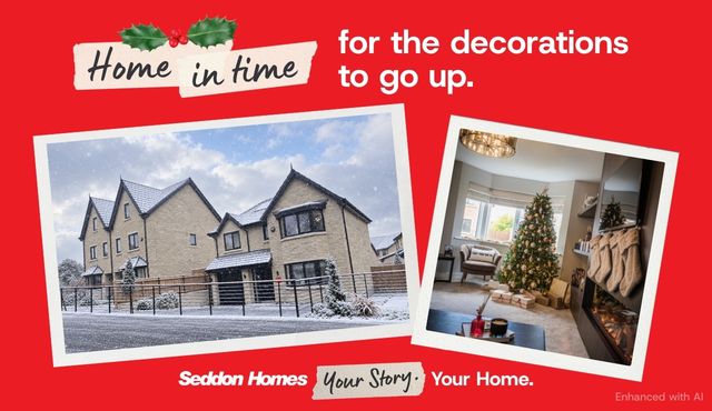 bancroft view move in for christmas
